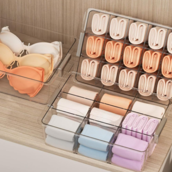 4 Pack Foldable Closet Bins for Separating Socks, Ties, Belts and Underwear