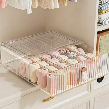 2 Pack Adjustable Plastic Drawer Boxes with Lids for Socks, Bras and Underwear