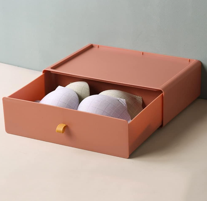 17 Compartment Drawer Storage Case for Bras, Socks and Underwear