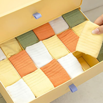 17 Compartment Covered Drawer Organizer for Bras, Socks and Clothing